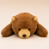 Lazy Lying Brown Bear